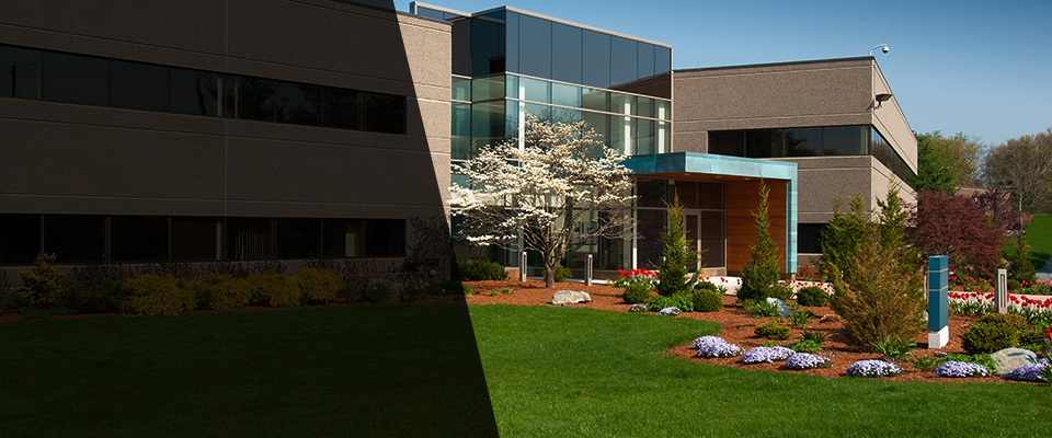 New York Landscapers